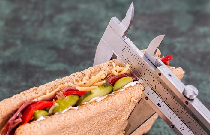 Programa Comidas y Calorías